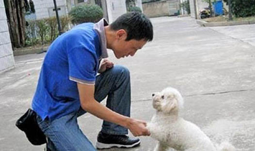 狗呕吐黄水泡沫怎么办?