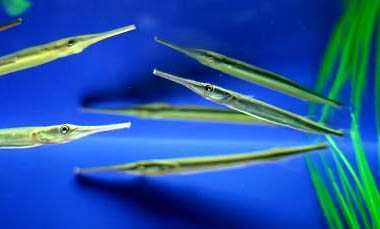 钓鱼提前多久打窝最好