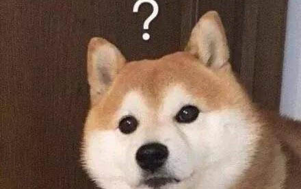 火车上能不能带小狗狗?