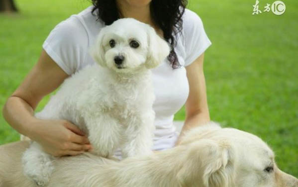 狗咬了一定要打疫苗吗