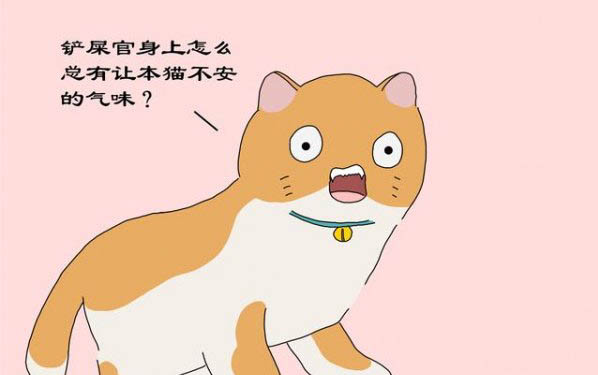 小猫一般多少天睁眼