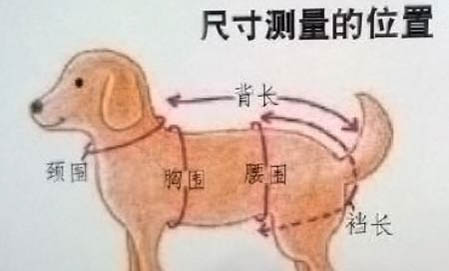 小狗狗食欲不振是因为什么原因
