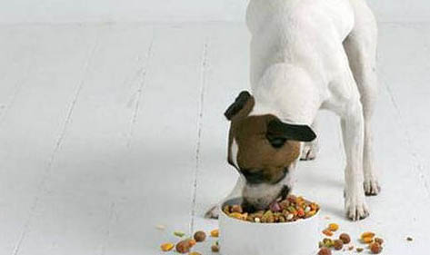 康多乐狗粮的品牌和品质介绍
