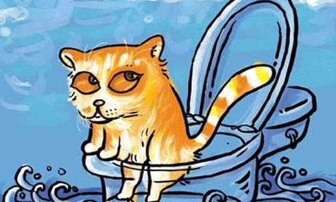 猫草有哪些作用