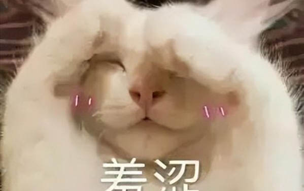 母猫会发现少了小猫吗？