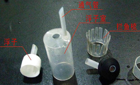 鱼缸混养有哪些注意事项
