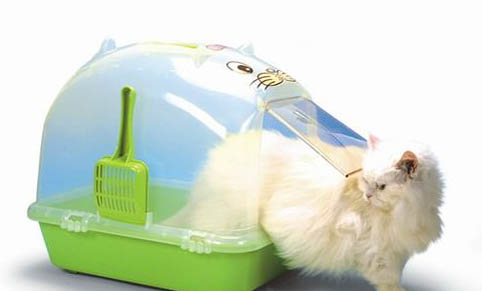 猫怀孕25天最明显的征兆