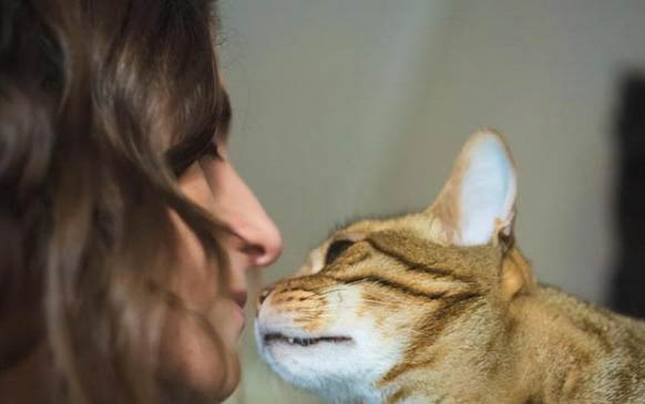 新生的小猫饿多久会死