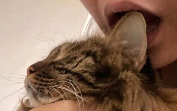 猫咪肠胃炎可以喝葡萄糖吗?