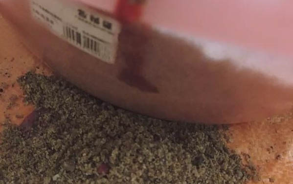 猫瘟的猫走过的地方就会有病毒吗?