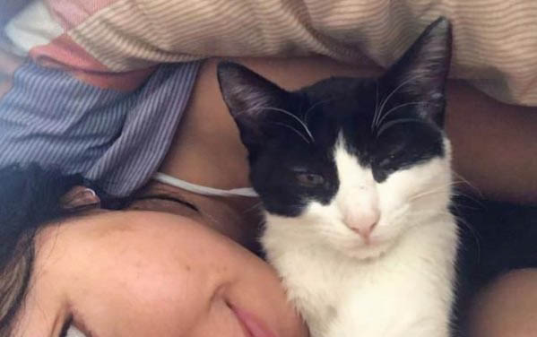 猫铃铛对猫有伤害吗