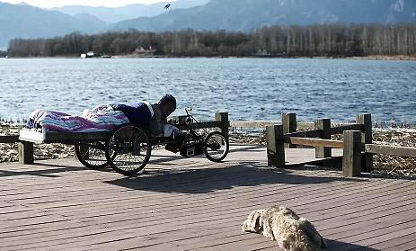狗狗的肛门腺位置在哪