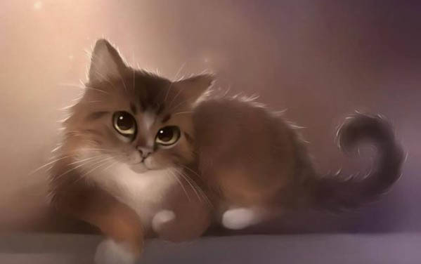 猫的猫藓的原因