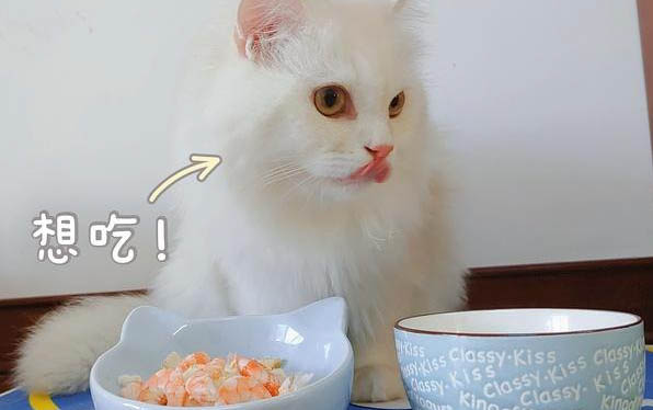 猫咪打完狂犬疫苗多久可以洗澡