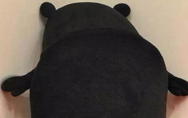 猫怀孕多少天生小猫
