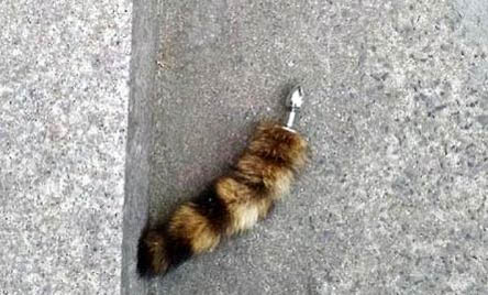猫打了猫三联后精神不好是为什么