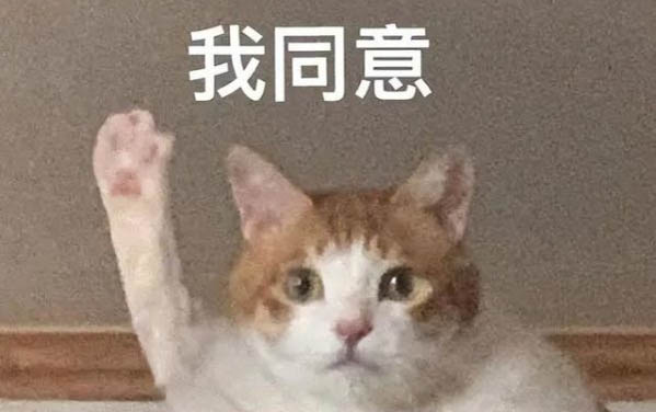 猫打疫苗可以预防猫传腹吗