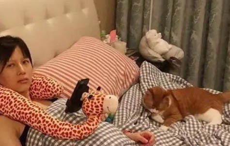 1年以上的猫会得猫瘟吗