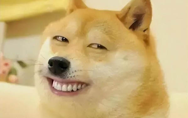 被狗咬了流血该怎么处理