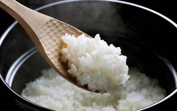 狗狗益生菌哪个牌子好