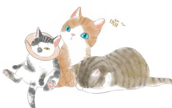 猫咪睡地板砖会着凉吗?
