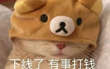 猫猫为啥不吃饭