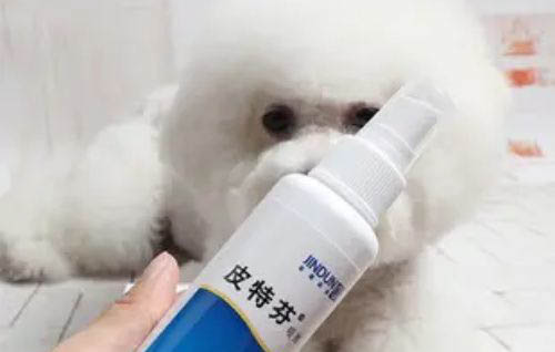 狗狗拉稀可以打疫苗吗?