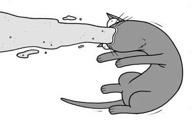 猫咪在猫砂盆里拉尿但不拉屎什么原因