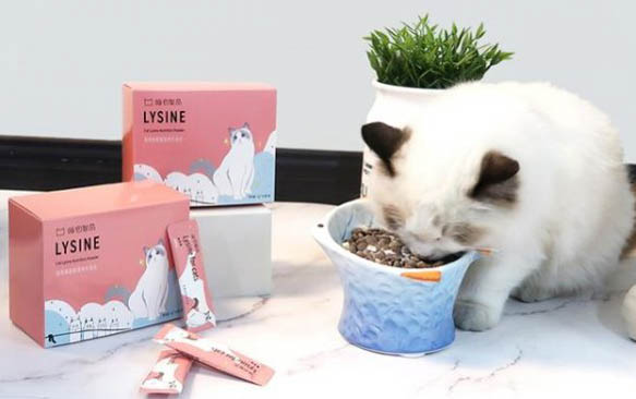 小猫鼻塞和流眼泪是什么症状表现