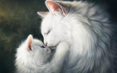 猫咪会打嗝吗？