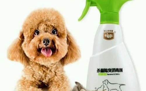 狗狗流口水是什么原因呀