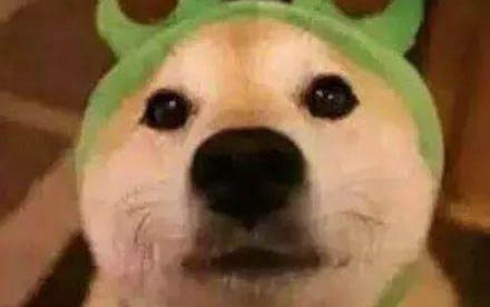 狗狗为什么摊开肚子啊