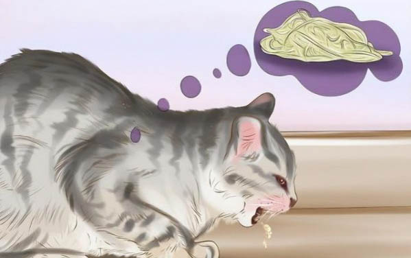 猫能吃带鱼吗