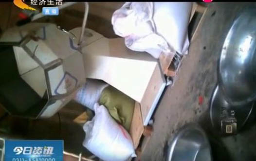 鲜肉狗粮哪个牌子好