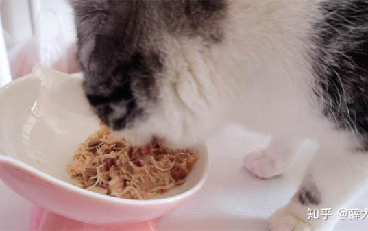 猫咪拉肚子可以喝羊奶吗