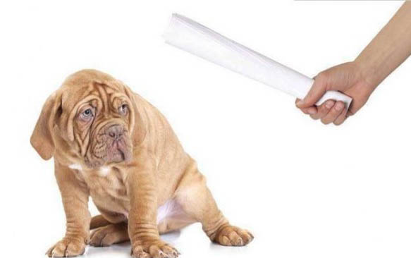怎么用响片训练狗狗，响片训练狗的基本方法