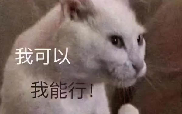 小猫多久可以离开母猫呢?
