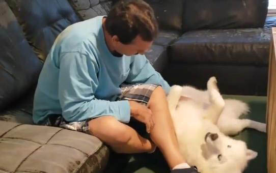给小狗洗澡注意事项有哪些