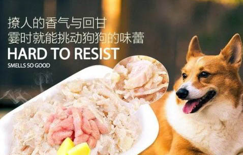 狗狗牙龈出血用什么药?