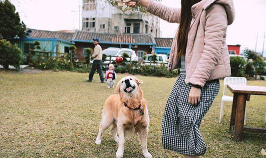 狗狗舔地板还呕吐拉稀怎么办