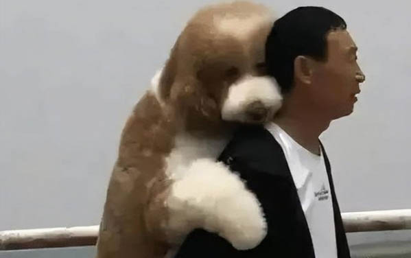 小狗体内体内驱虫多久一次