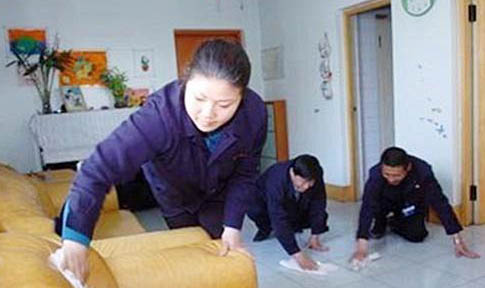 请问猫咪呕吐的原因及处理方法?