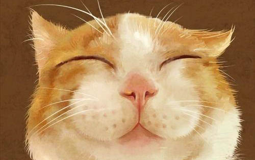 小猫为什么不吃东西?