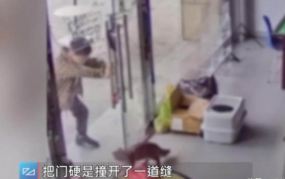 请问猫咪呕吐的原因及处理方法?