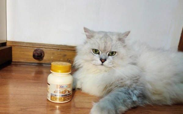 人得猫癣不治疗会自己痊愈吗