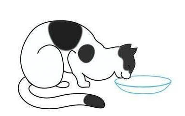 猫咪体内驱虫药推荐