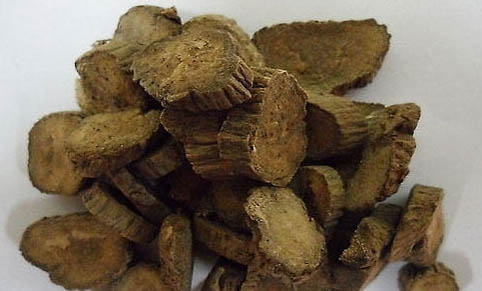 猫咪食欲不振怎么办