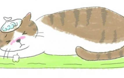 猫咪在呼吸时身体颤抖