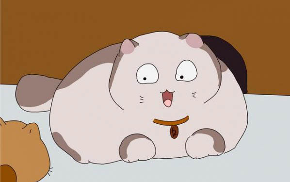 大猫咬住小猫脖子不动怎么回事