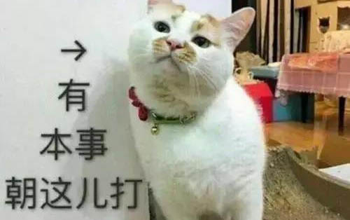 猫咪为什么会拉肚子放屁呢